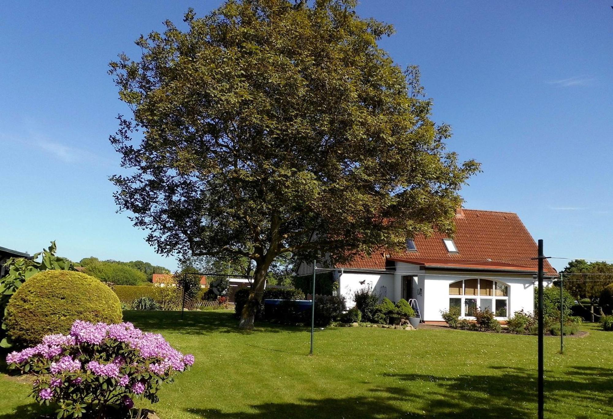 Bungalow Und Ferienwohnung Auf Ruegen Kluis Esterno foto